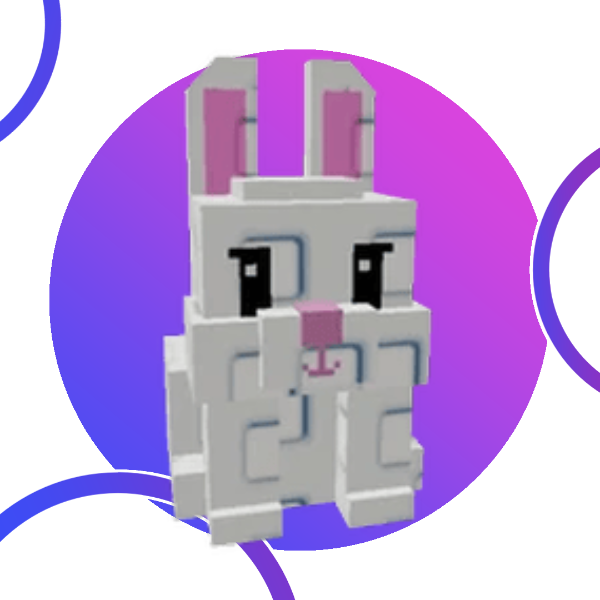 Bunny  Add to Cart Buy Now