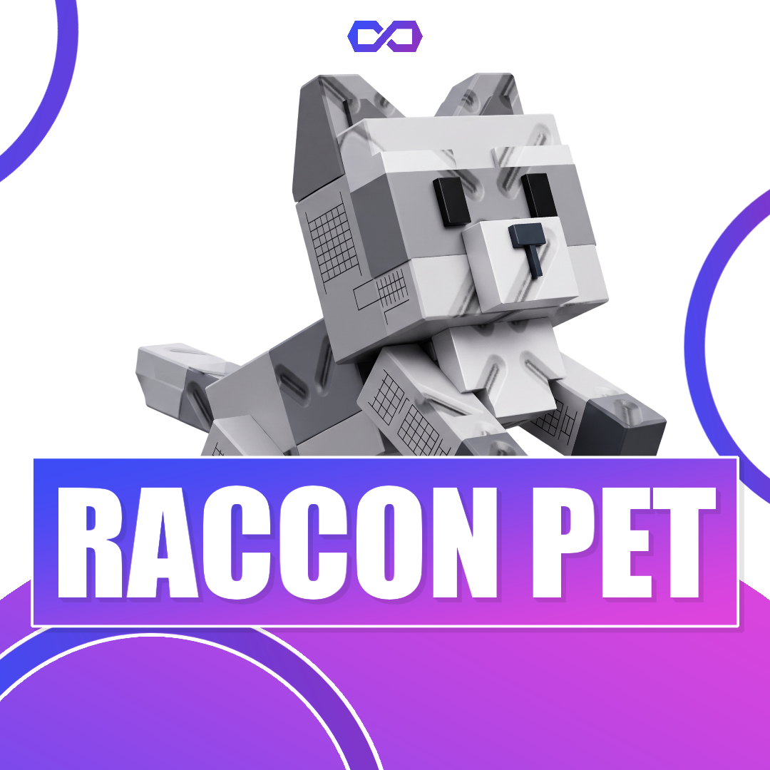Raccon