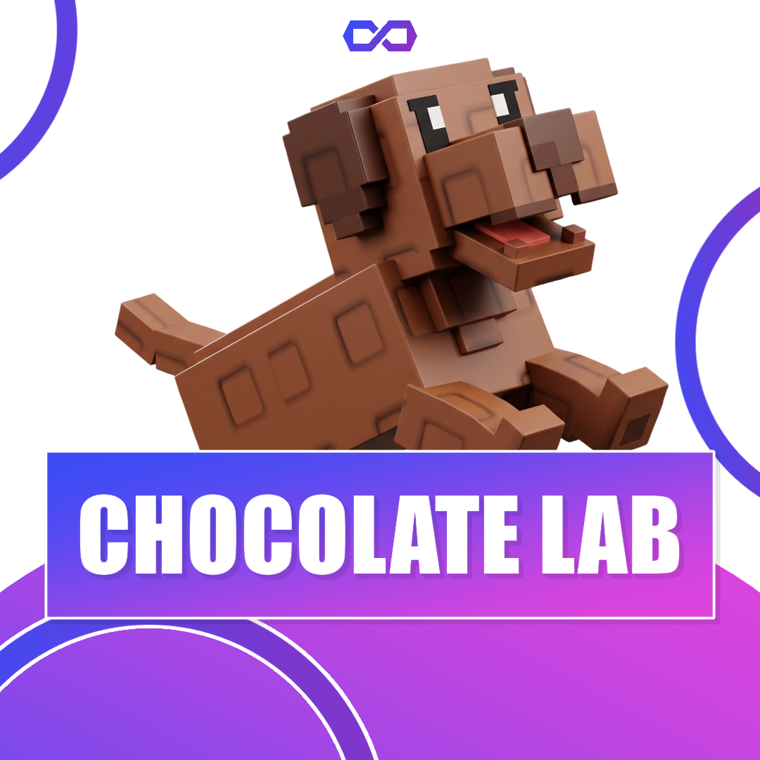 Chocolate Lab