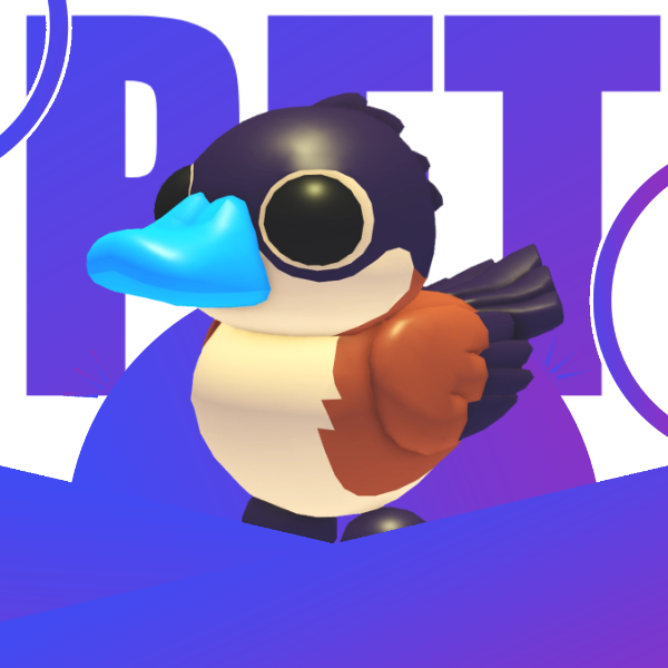 Ruddy Duck