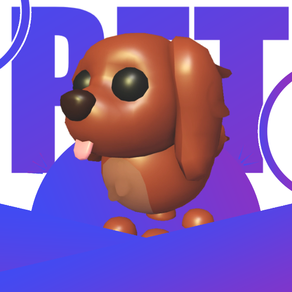 Irish Setter